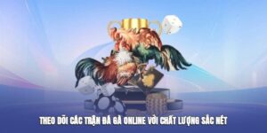 BONG VIP Kinh Nghiệm Theo Dõi Thắng Thua Trận Đá Gà