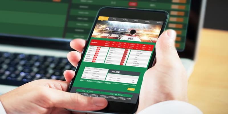 Bongvip có thường xuyên cải thiện chất lượng dịch vụ?